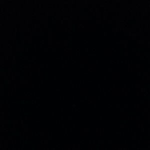 Meet your Posher, Wilman